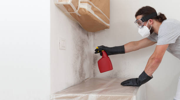 Professional Mold Cleanup technician working in Schoolcraft, MI