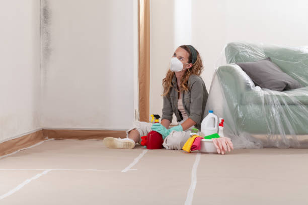 Reliable Mold Cleanup contractor in Schoolcraft, MI by WQB Mold Removal
